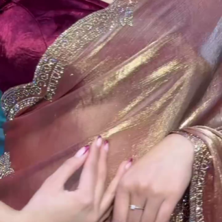 Rose Gold Velvet Saree with Embellished Border