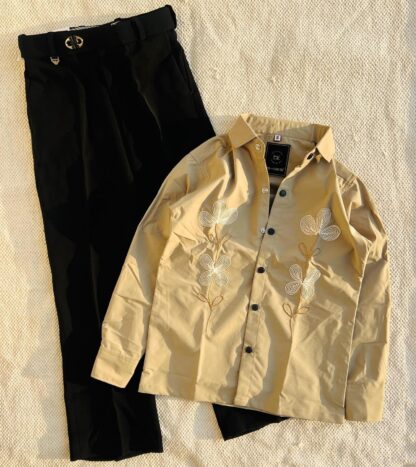 Embroidered Shirt with Denim Jeans, Assorted Colours