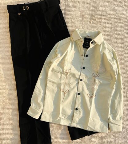 Embroidered Shirt with Denim Jeans, Assorted Colours