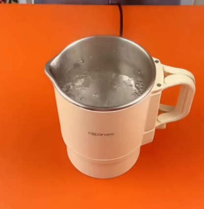 Electric Kettle with Stainless Steel Interior