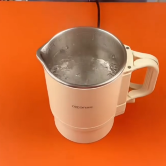 Electric Kettle with Stainless Steel Interior